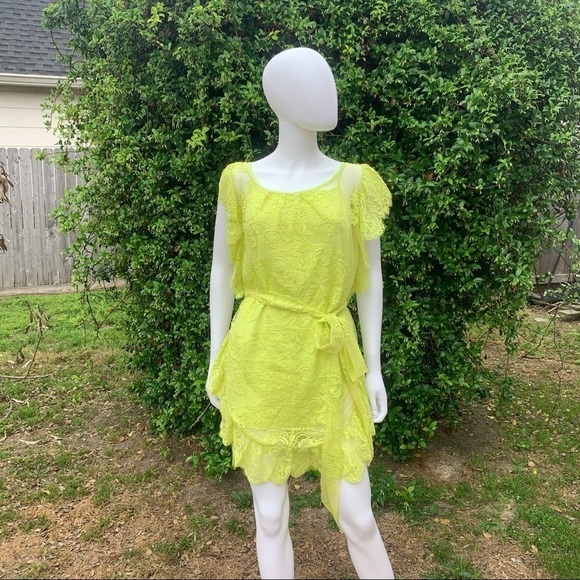 💋NWOT JENS Pirate Booty Key Lime 2 Pc Sheer Lace CoverUp/Dress - Picture 2 of 16